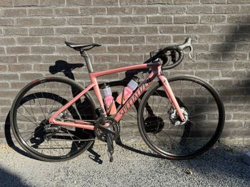 Used Specilized Specilized Custom Frameset 2023 Road & Gravel
