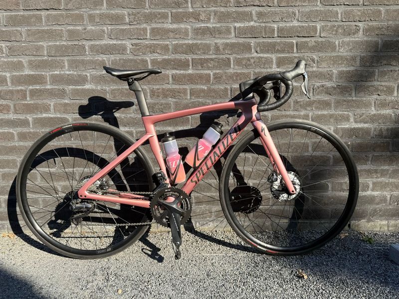 Specilized Custom Frameset 2023 Road & Gravel usato