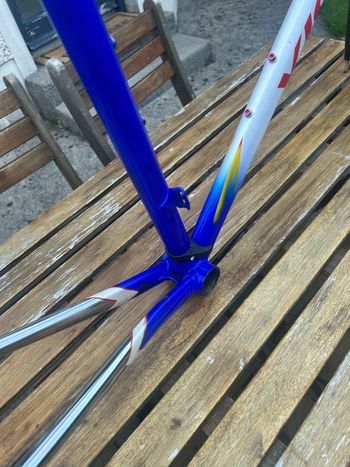 Used VICINI VICINI Custom Frameset 2010 Road & Gravel, Blue — image 11 of 12