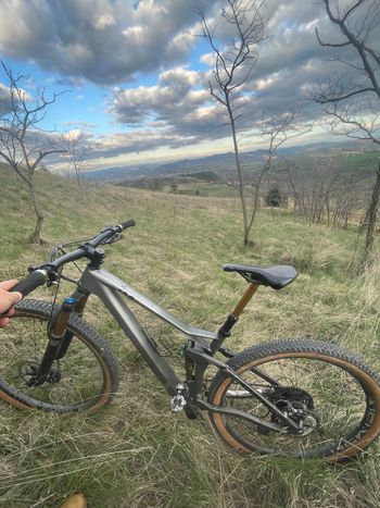 Used CUBE STEREO ONE22 HPC SLT 29 2024 2024 Mountainbike, Light Gray, 29 — image 2 of 5