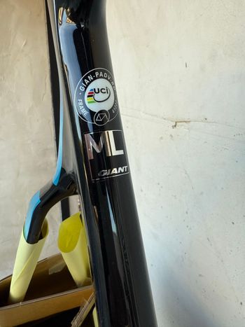 Used Giant Propel Advanced 2 2021 Frameset 2021 Road & Gravel, Green — image 3 of 9