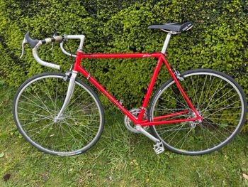 Used Koga Miyata Shimano Exage 1975 Road & Gravel, Red — image 2 of 7