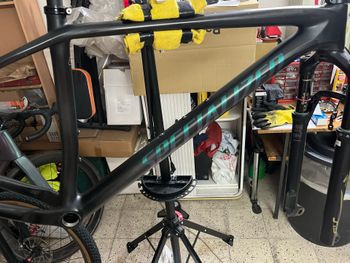 Used Specialized Epic Hardtail Pro 2019 Frameset 2019 MTB