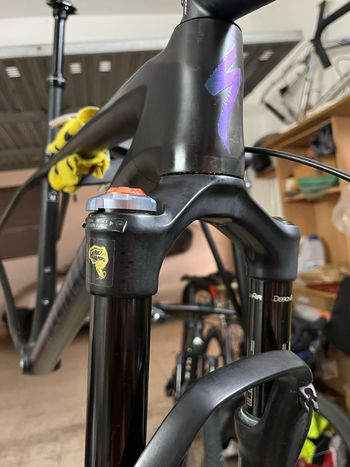 Used Specialized Epic Hardtail Pro 2019 Frameset 2019 Mountainbike, Black, 29 — image 5 of 6