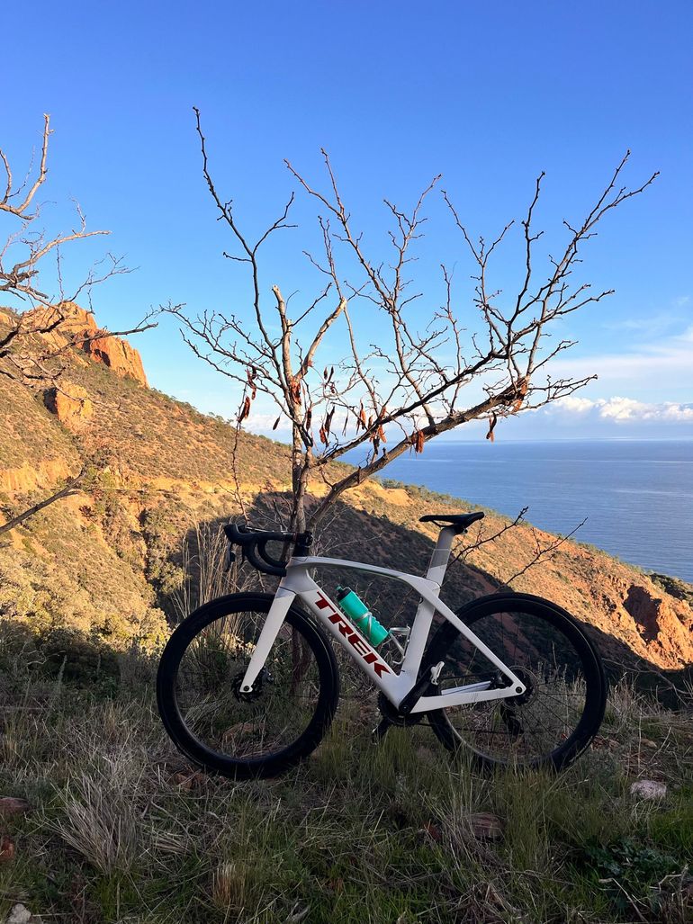 Used Trek Madone SL 7 eTap 2021 2021 Road & Gravel, White — image 5 of 8