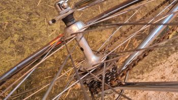 Used Pinarello Montello Campagnolo Super Record 1985 Road & Gravel — image 9 of 12