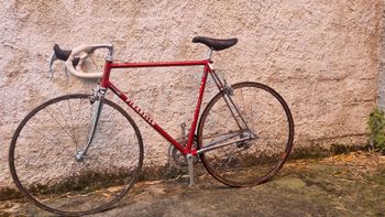 Used Pinarello Montello Campagnolo Super Record 1985 Road & Gravel — image 2 of 12