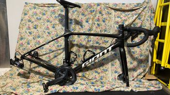 Used Giant TCR Advanced Pro Team Disc 2021 Frameset 2021 Road & Gravel