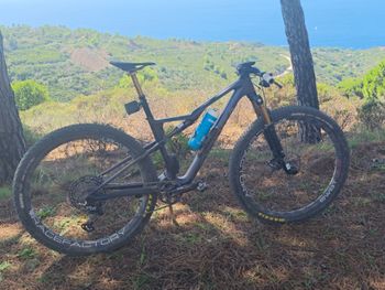 Used Orbea OIZ OMX+FOX I-LINE FLOAT SL RE 2024 Frameset 2024 Mountainbike, Black, 29 — image 2 of 4