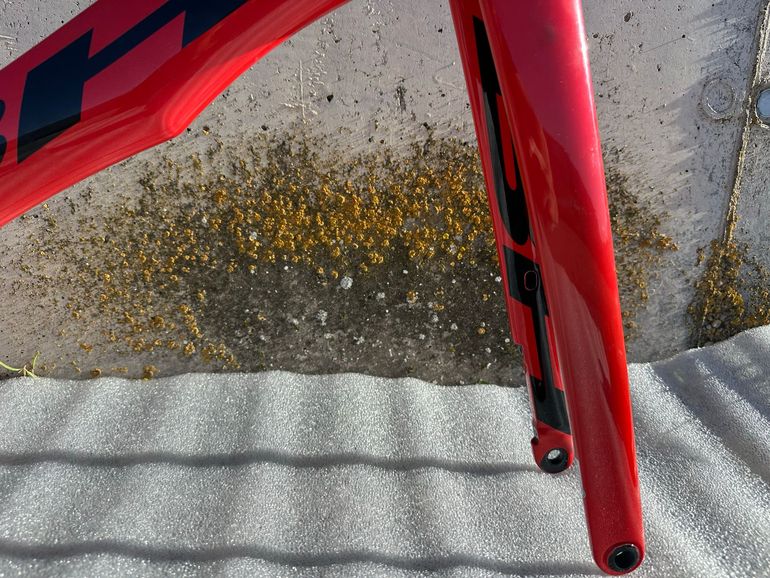 Used BH Aerolight Frameset 2025 Road & Gravel, Red — image 4 of 15
