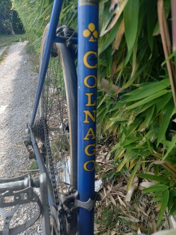 Used Colnago Colnago Super Anni '70 1975 Road & Gravel, Blue — image 8 of 34