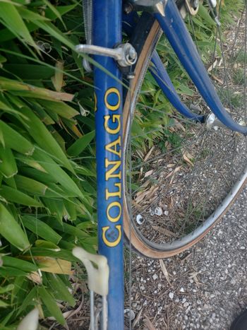 Used Colnago Colnago Super Anni '70 1975 Road & Gravel, Blue — image 9 of 34