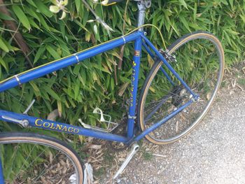 Used Colnago Colnago Super Anni '70 1975 Road & Gravel, Blue — image 7 of 34
