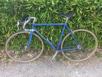 Used Colnago Colnago Super Anni '70 1975 Road & Gravel, Blue — image 6 of 34