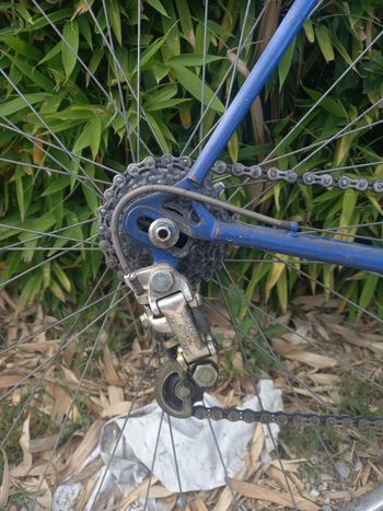 Used Colnago Colnago Super Anni '70 1975 Road & Gravel, Blue — image 28 of 34