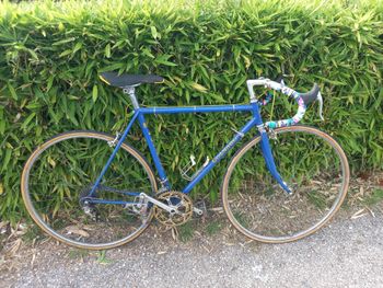 Used Colnago Colnago Super Anni '70 1975 Road & Gravel, Blue — image 4 of 34