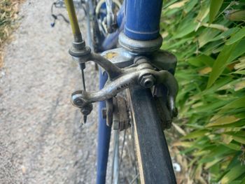 Used Colnago Colnago Super Anni '70 1975 Road & Gravel, Blue — image 15 of 34