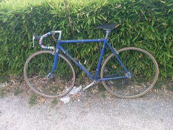 Used Colnago Colnago Super Anni '70 1975 Road & Gravel, Blue — image 3 of 34