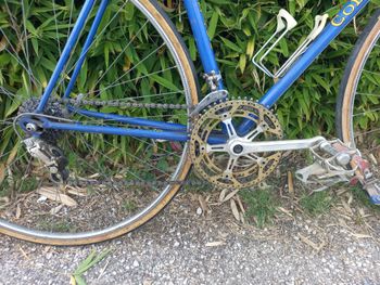 Used Colnago Colnago Super Anni '70 1975 Road & Gravel, Blue — image 31 of 34