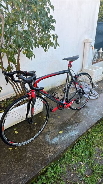 Used Pinarello Custom Shimano Ultegra 2010 Road & Gravel, Red — image 2 of 3