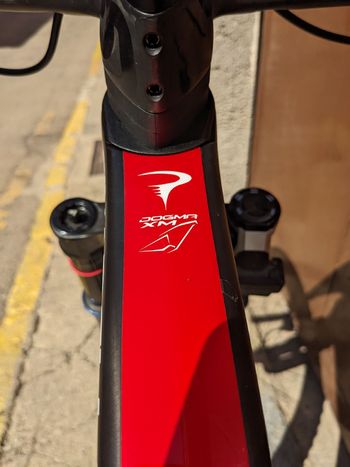 Used Pinarello DOGMA XC XX SL 100 2025 2025 Mountainbike, Red, 29 — image 7 of 10