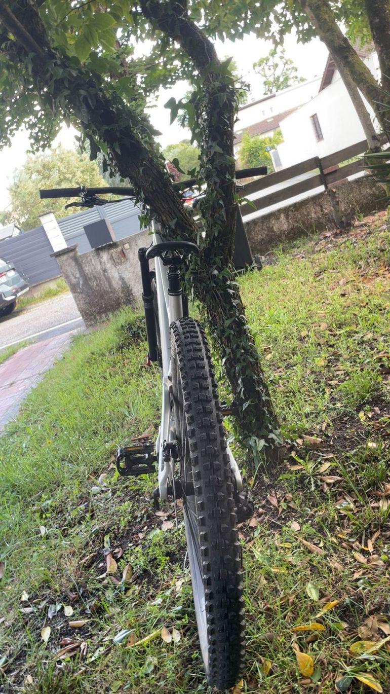 Used Scott Genius 940 2025 2025 Mountainbike, Light Gray, 29 — image 4 of 7