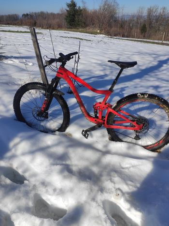 Used Giant Trance SRAM GX Eagle 2019 MTB