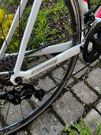 Used Colnago C-RS Ultegra Bike 2019 2019 Road & Gravel, White — image 3 of 8