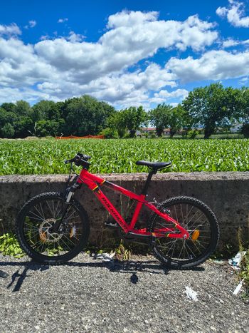Used ROCKRIDER ROCKRIDER Custom Shimano Tourney 2023 Youth, Red — image 2 of 11