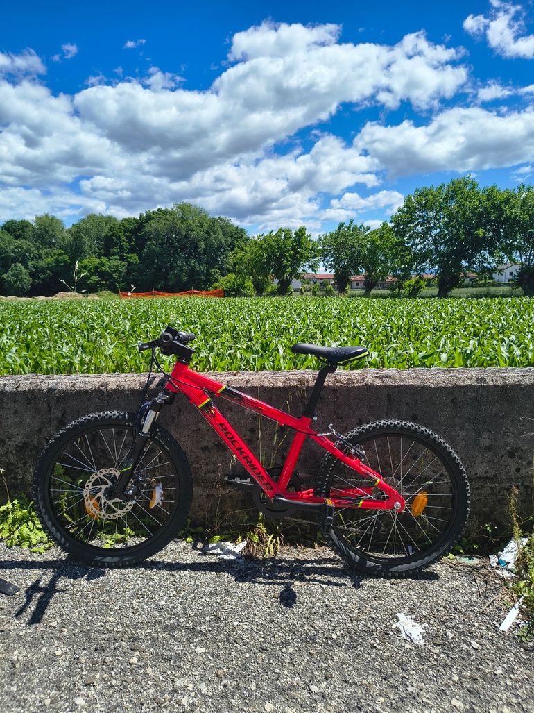 Used ROCKRIDER ROCKRIDER Custom Shimano Tourney 2023 Youth, Red — image 2 of 11