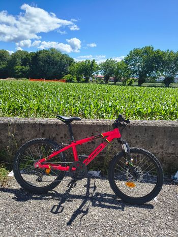 Used ROCKRIDER ROCKRIDER Custom Shimano Tourney 2023 Kids & Youth