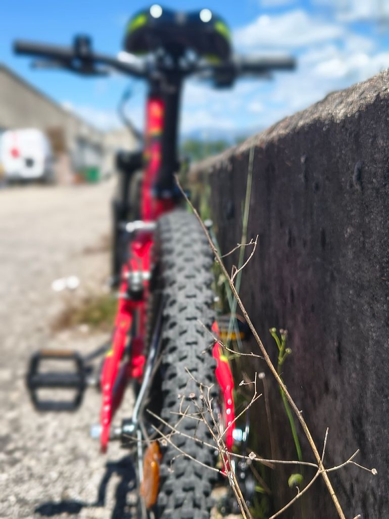 Used ROCKRIDER ROCKRIDER Custom Shimano Tourney 2023 Youth, Red — image 6 of 11