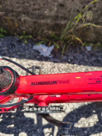 Used ROCKRIDER ROCKRIDER Custom Shimano Tourney 2023 Youth, Red — image 10 of 11