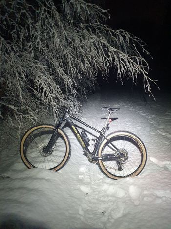 Used Rocky Mountain Vertex Carbon 90 2020 2020 Mountainbike — image 2 of 3
