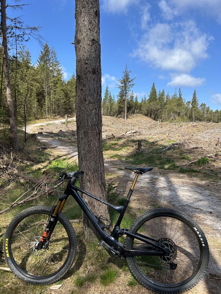 Used Scott Spark 970 2022 2022 Mountainbike, Blau, 29 — image 7 of 10