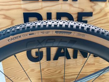 Used Giant Revolt Advanced 0 2025 2025 Road & Gravel — image 6 of 8