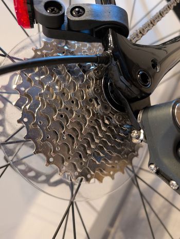 Used Specialized Roubaix 2022 2022 Road & Gravel — image 5 of 10