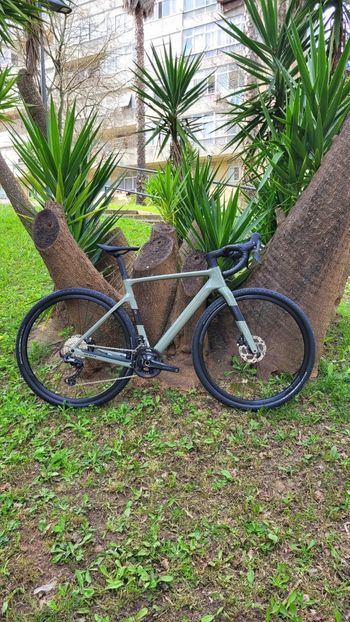 Used Scott Addict Gravel 50 2025 2025 Road & Gravel