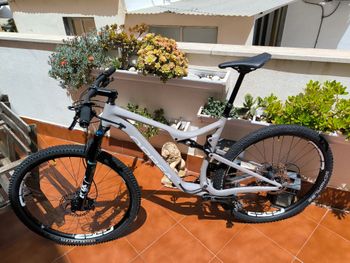 Used Orbea OIZ H30 2021 2021 Mountainbike, Light Gray, 29 — image 2 of 10
