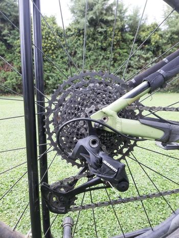 Used Giant Stance 29 1 2020 2020 Mountainbike, Green, 29 — image 5 of 5