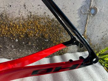 Used BH Aerolight Frameset 2025 Road & Gravel, Red — image 11 of 16