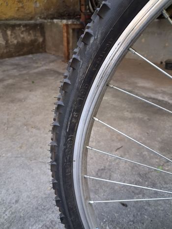 Used Frejus Mountain Bike 2023 Kids & Youth