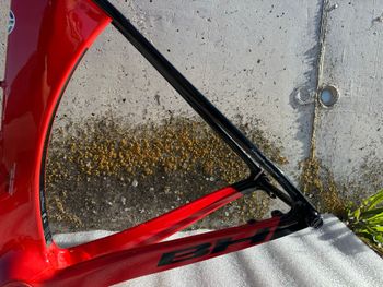 Used BH Aerolight Frameset 2025 Road & Gravel, Red — image 12 of 14