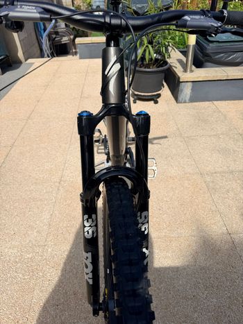 Used Specialized Stumpjumper 15 Expert 2025 2025 Mountainbike, Black, 29, 27.5 — image 7 of 7