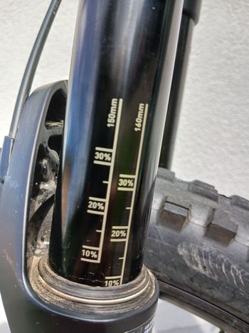 Used Focus Jam SRAM Red eTap AXS 2020 Mountainbike, White — image 4 of 6