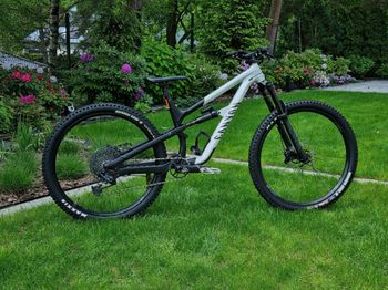 Used Canyon Spectral 29 AL 6 2023 2023 MTB