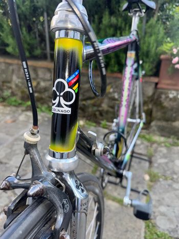 Used colnago tecnos Colnago tecnos Custom Other Campagnolo 1987 Road & Gravel, Black — image 7 of 11
