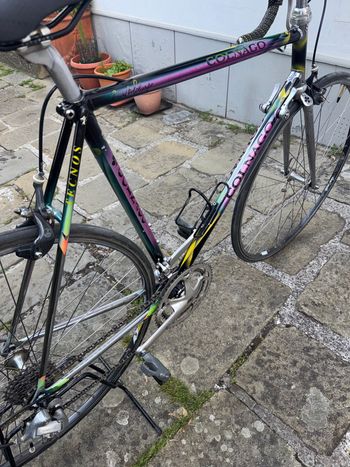 Used colnago tecnos Colnago tecnos Custom Other Campagnolo 1987 Road & Gravel, Black — image 11 of 11