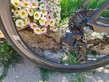 Used Trek Madone WheelTop EDS 2017 Road & Gravel, Black — image 3 of 4