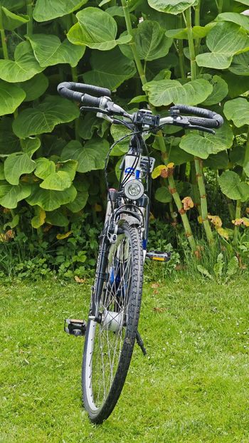 Used Corratec Corratec Custom Urban, White — image 4 of 13